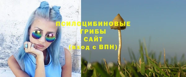 ешки Корсаков
