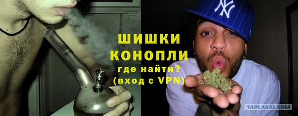ешки Корсаков