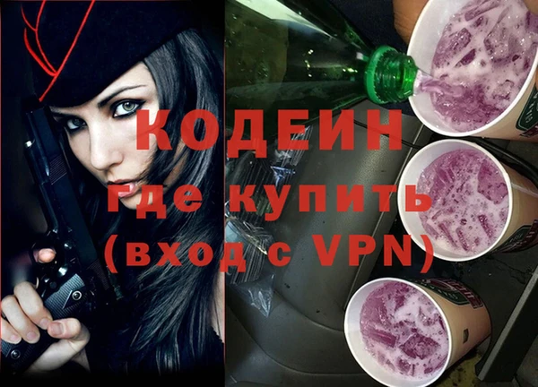 ешки Корсаков