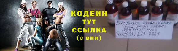 ешки Корсаков