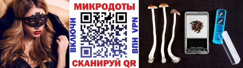 Купить закладки  Певек  Галлюциногенные грибы прущие грибы 